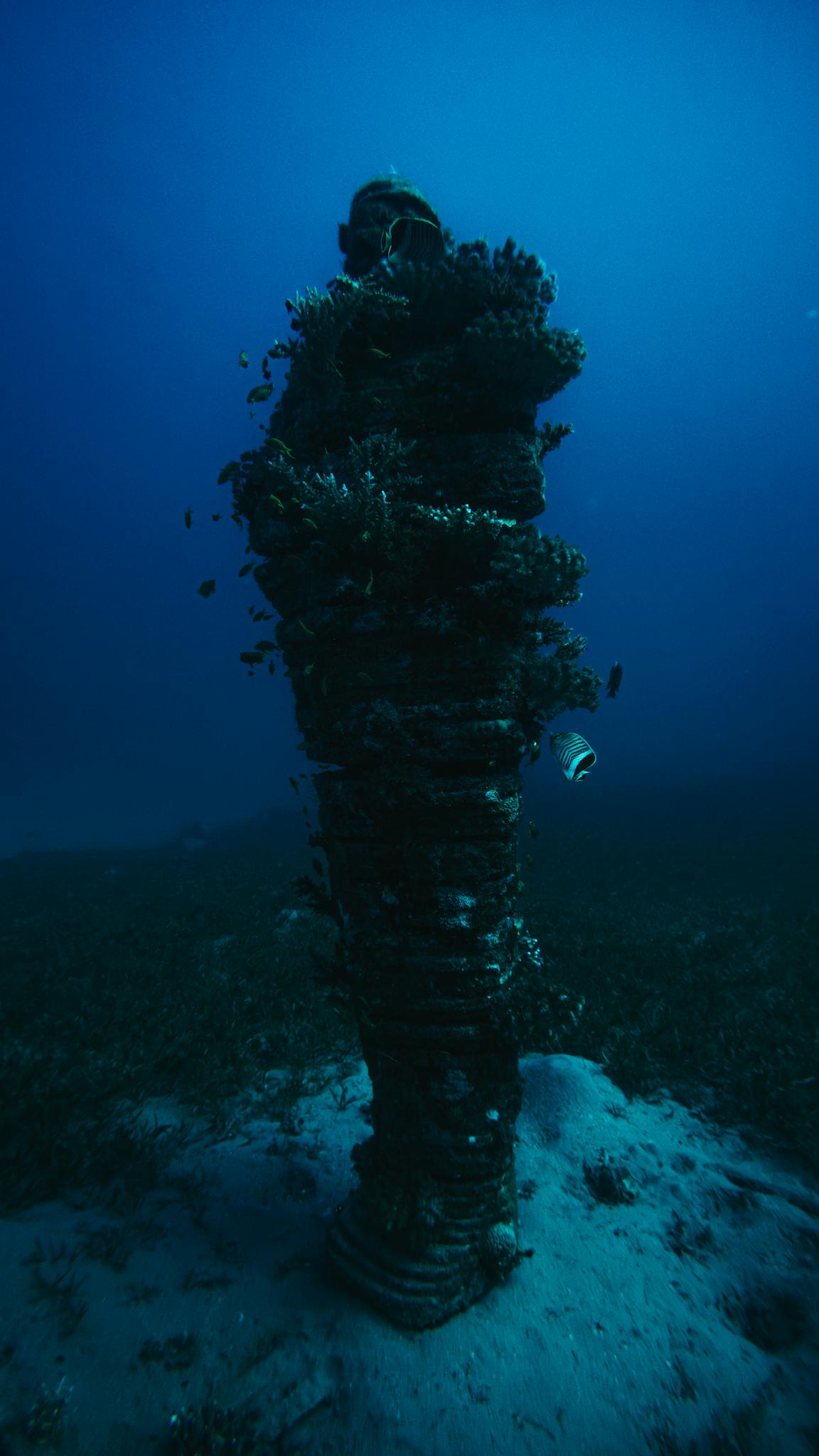 An underwater statue encrusted with coral and marine life in deep blue waters.